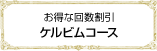 お得な回数割引ケルビムコース